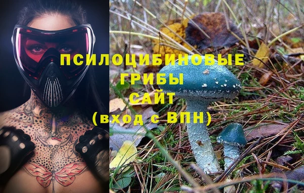 MDMA Гусев