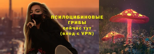кокс Гусиноозёрск