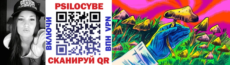 Купить где  Кондрово  Псилоцибиновые грибы Cubensis 